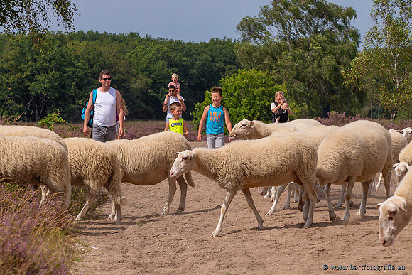 Mens actief, Bart Fotografie-292