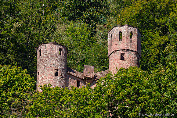 Heidelberg, Duitsland, augustus 2024-023