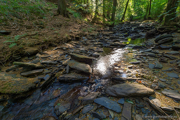 Eifel, augustus 2022, Bart Fotografie-009