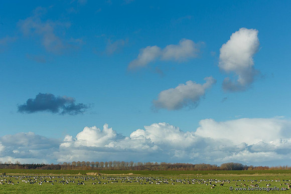 Arkemheen, Bart Fotografie-071