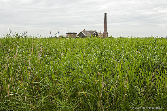 Arkemheen, Bart Fotografie-031