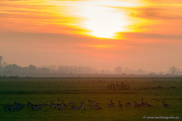 Arkemheen, Bart Fotografie-092