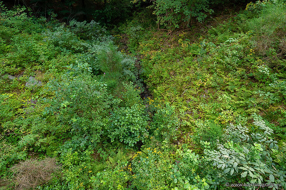 Eifel, augustus 2022, Bart Fotografie-032