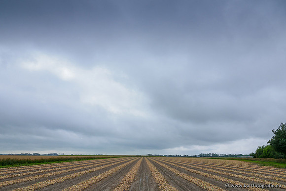 Friesland september 2020 Bart Fotografie-011