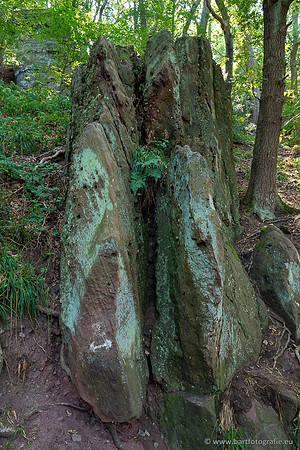 Eifel, augustus 2022, Bart Fotografie-149