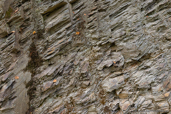 Eifel, augustus 2022, Bart Fotografie-030