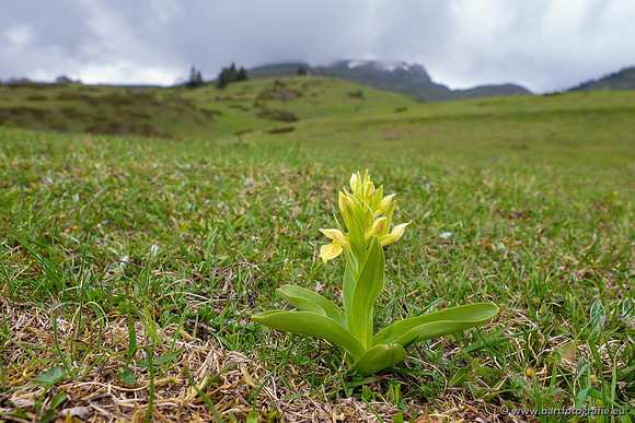 Ariège, Frankrijk, mei 2022, Bart Fotografie-475