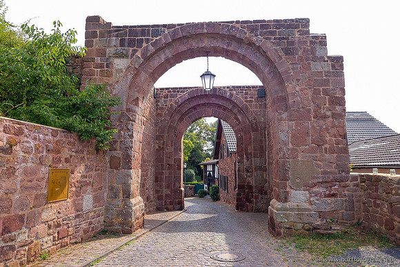 Eifel, augustus 2022, Bart Fotografie-140