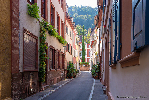 Heidelberg, Duitsland, augustus 2024-095
