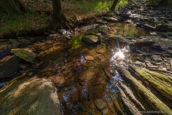 Eifel, augustus 2022, Bart Fotografie-013