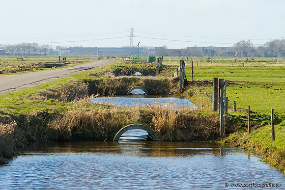 Arkemheen, Bart Fotografie-074