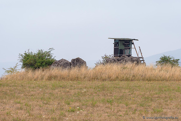 Eifel, augustus 2022, Bart Fotografie-108