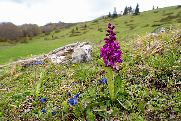 Ariège, Frankrijk, mei 2022, Bart Fotografie-446