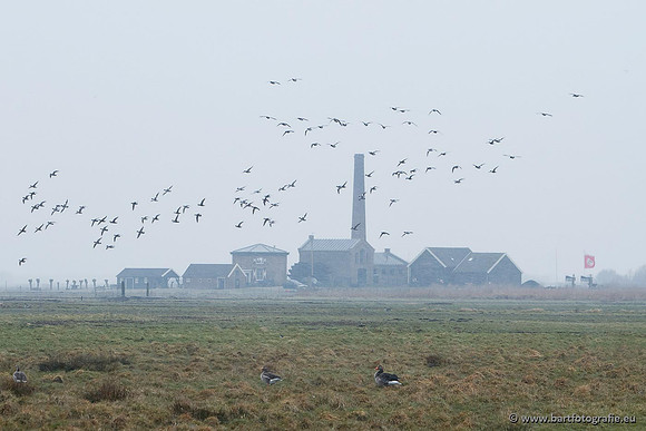 Arkemheen, Bart Fotografie-014