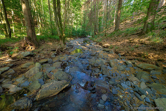 Eifel, augustus 2022, Bart Fotografie-007