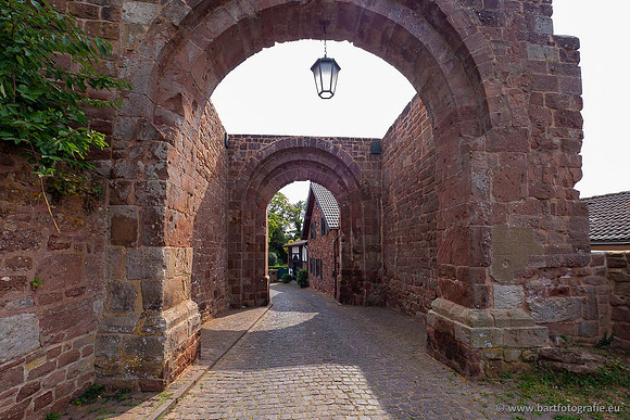 Eifel, augustus 2022, Bart Fotografie-139