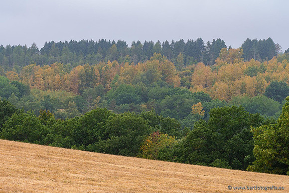 Eifel, augustus 2022, Bart Fotografie-106