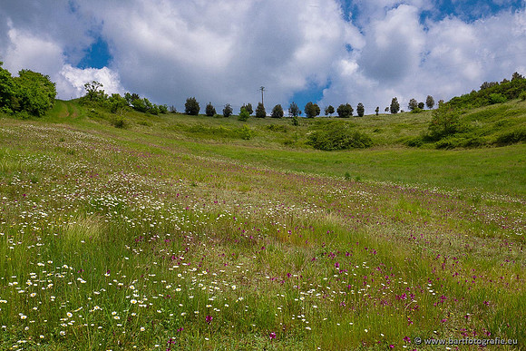 Ariège, Frankrijk, mei 2022, Bart Fotografie-342