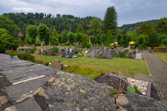 Eifel, augustus 2022, Bart Fotografie-094