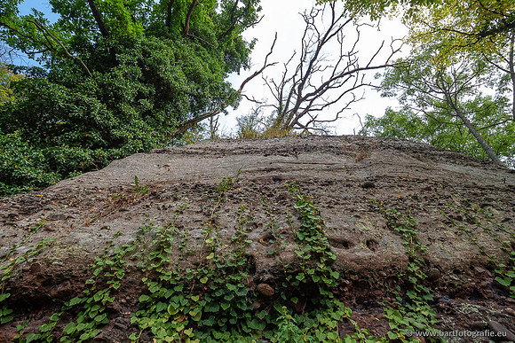 Eifel, augustus 2022, Bart Fotografie-151