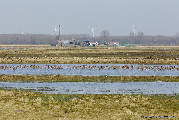 Arkemheen, Bart Fotografie-034
