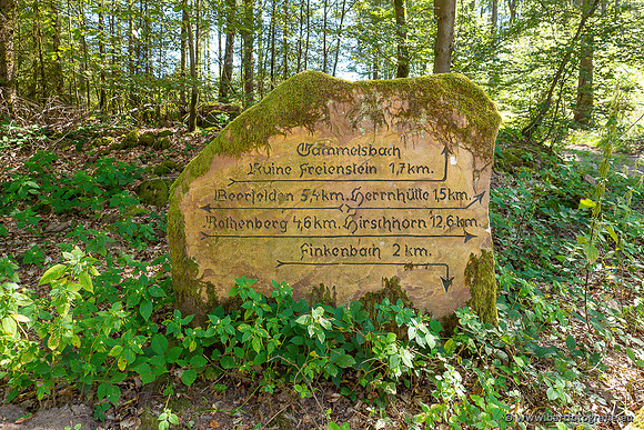 Heidelberg, Duitsland, augustus 2024-059