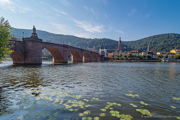 Heidelberg, Duitsland, augustus 2024-075