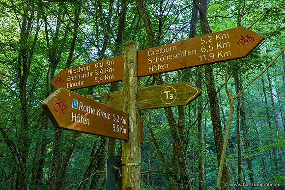 Eifel, augustus 2022, Bart Fotografie-003